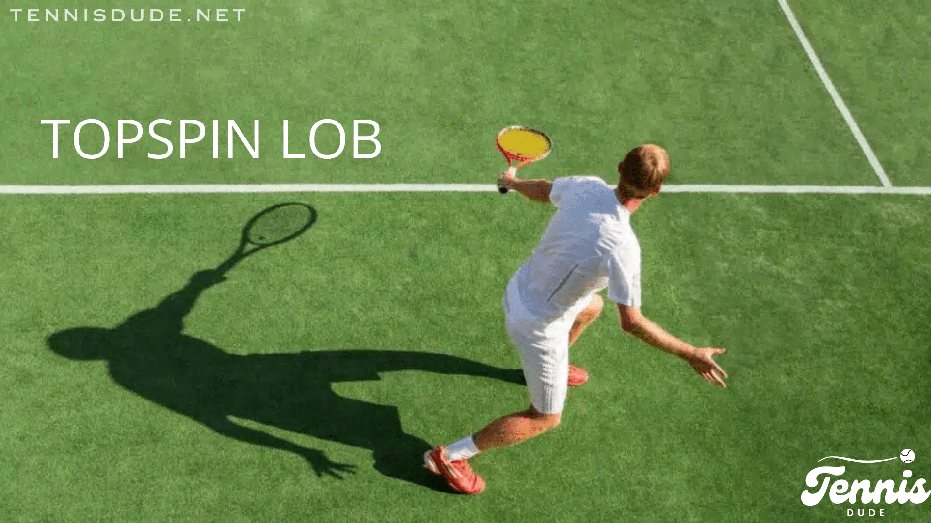 Topspin Lob