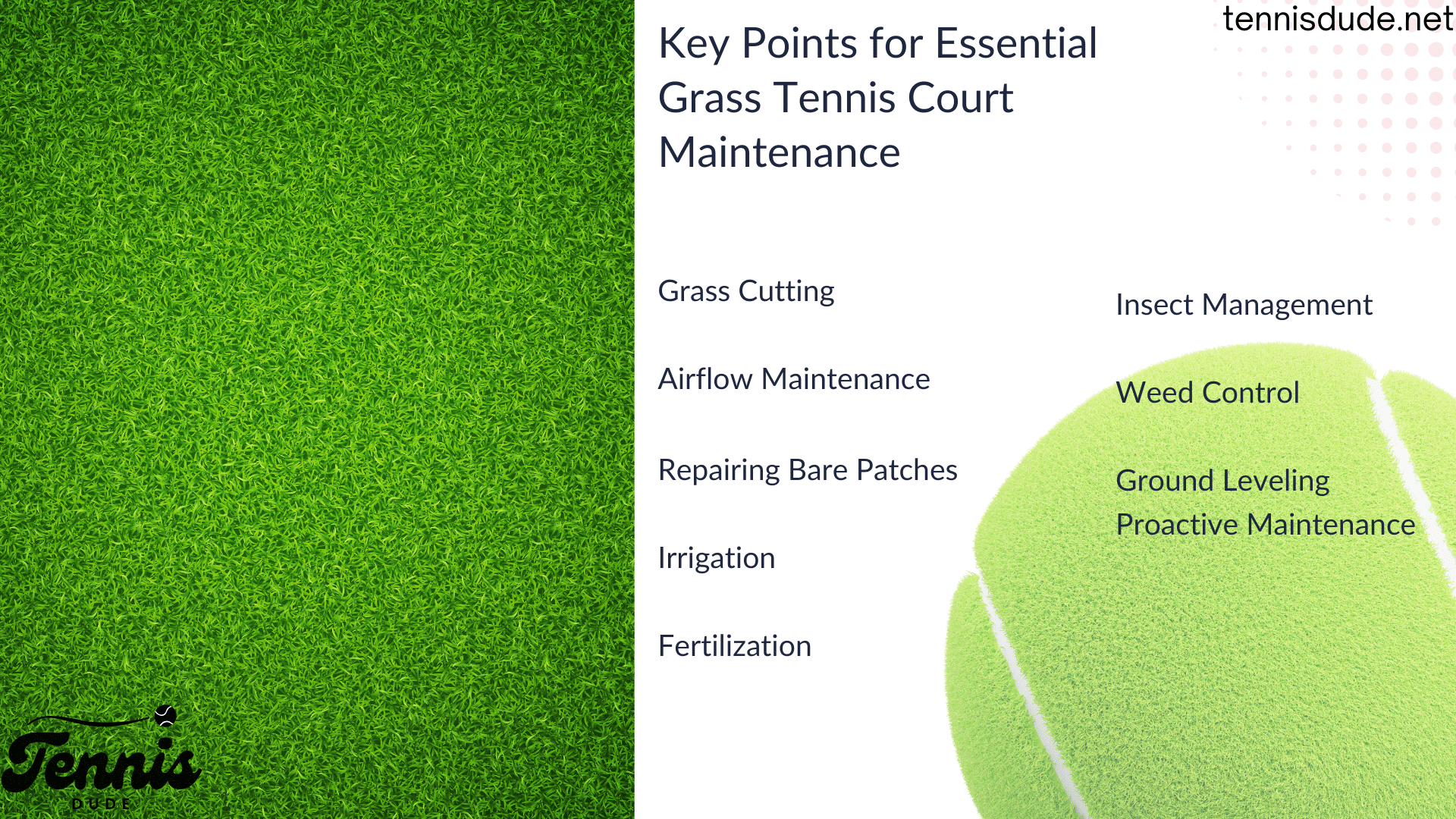 keypoints for maintanance grass court png